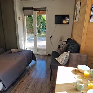 https://studio-la-cabane-centre-ville.hotels-rhonealpes.com